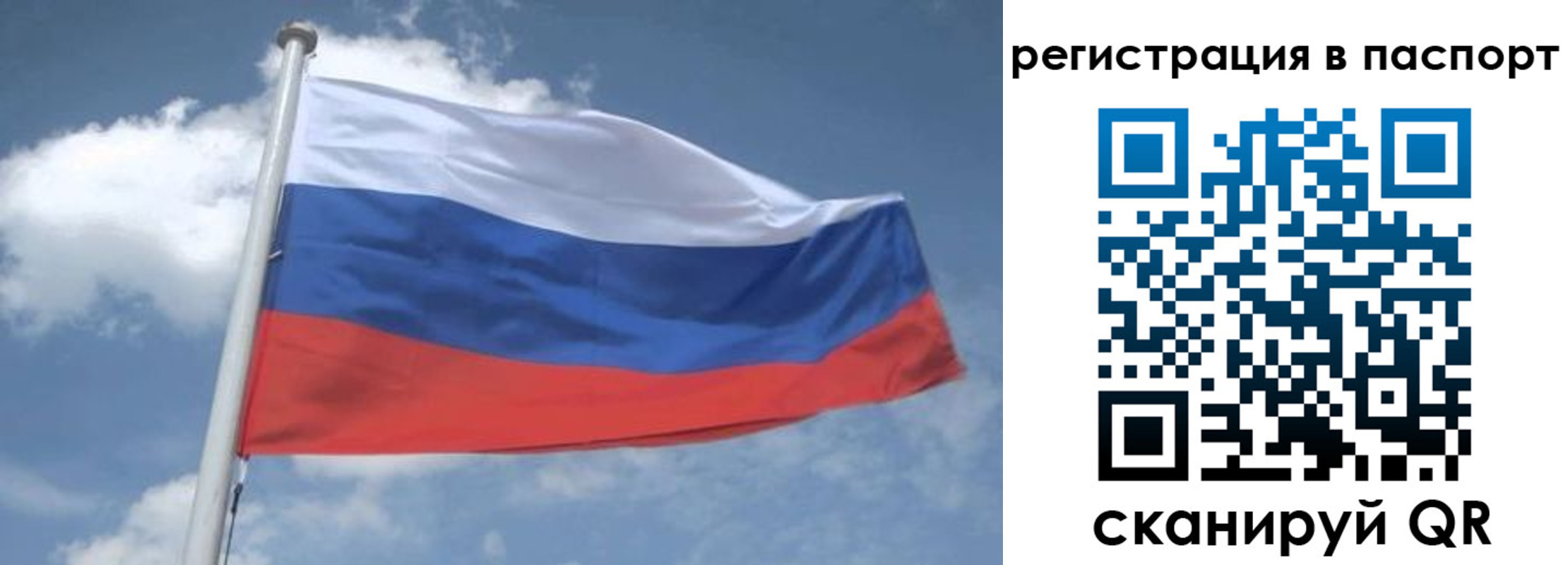 временная регистрация надежно в Электрогорске