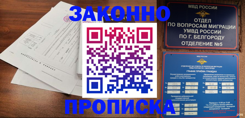 прописка в Электрогорске